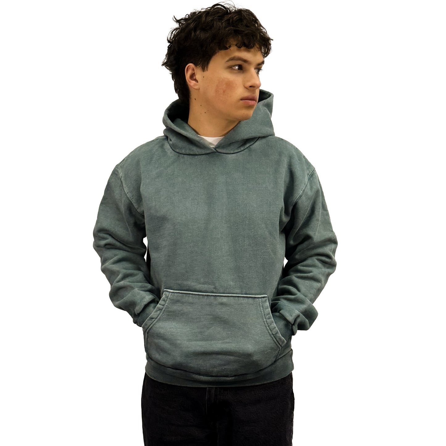 Sagebrush Green HEAVY HOODIE 15oz