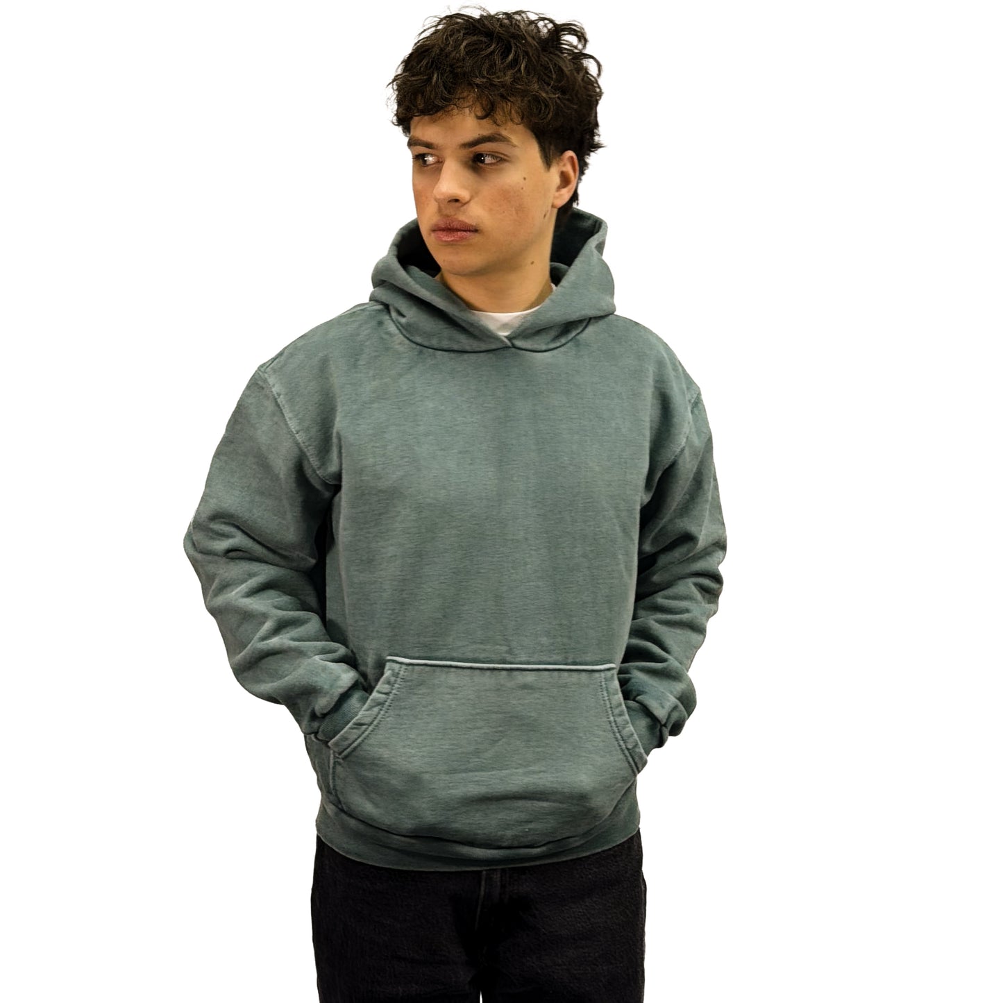 Sagebrush Green HEAVY HOODIE 15oz